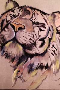 safari-5